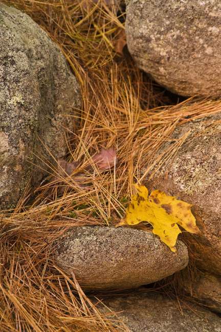 Fall foliage in Southern Vermont  photography workshop with Raymond Klass, Klass Photography