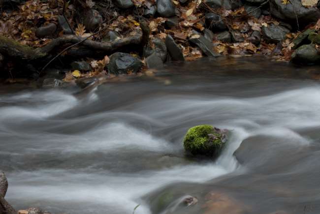 PEEC Photography Workshop with Raymond Klass, Nature Photography workshops and teaching with Raymond Klass, Klass Photography