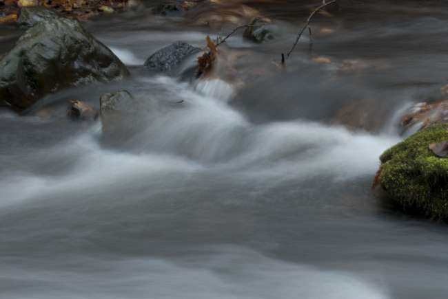 PEEC Photography Workshop with Raymond Klass, Nature Photography workshops and teaching with Raymond Klass, Klass Photography