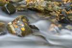 Fall foliage in Southern Vermont  photography workshop with Raymond Klass, Klass Photography