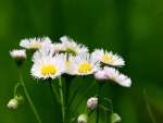 Spring photography workshop in the Poconos with teacher Raymond Klass, Klass Photography, klassphoto.com