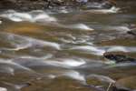 Spring photography workshop in the Poconos with teacher Raymond Klass, Klass Photography, klassphoto.com