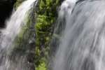 Spring photography workshop in the Poconos with teacher Raymond Klass, Klass Photography, klassphoto.com