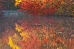Ponoco Mountains Fall Workshop - held at PEEC - The Pocono Environmental Educational Center.  Workshop by Raymond Klass, Klass Photography